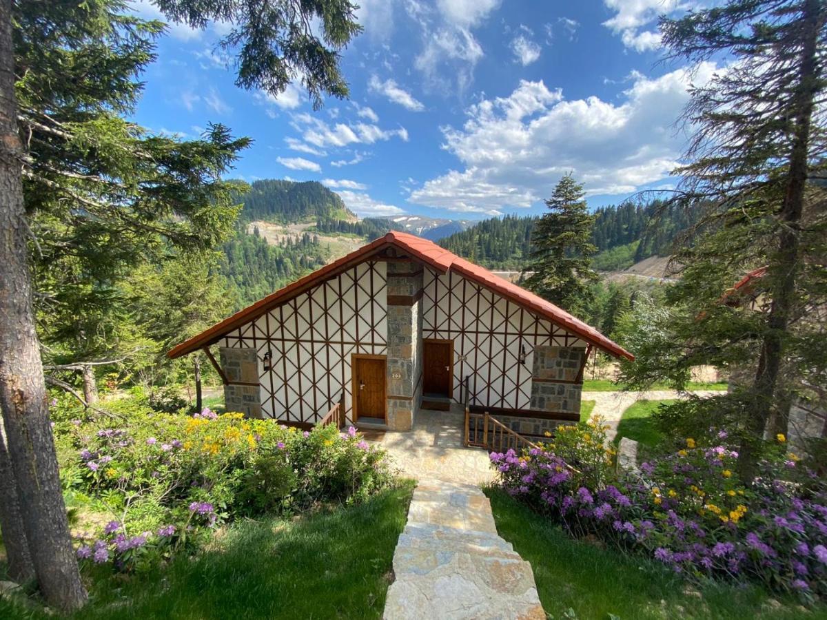 Foleya Mountain Resort Hotel & Villas Trabzon Extérieur photo
