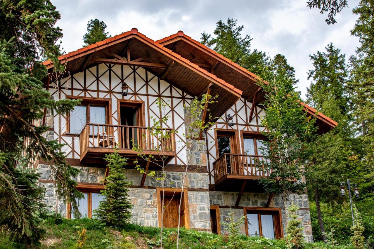 Foleya Mountain Resort Hotel & Villas Trabzon Extérieur photo